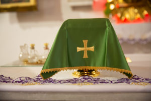 Rudniki